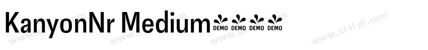 KanyonNr Medium字体转换
